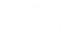 GfsGroup footer logo